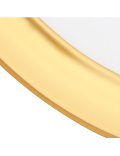 Downlight 15w 4000k Trevor Oro 1200lm 19d 2